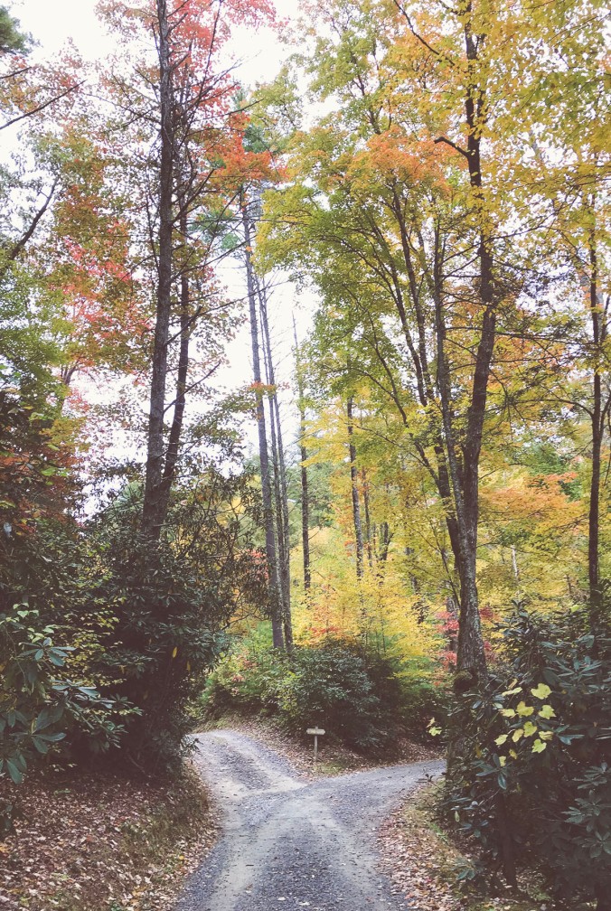 Fall Split Path at Whisper Mountain Camp